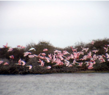 Home to Bird Watching Enthusiasts